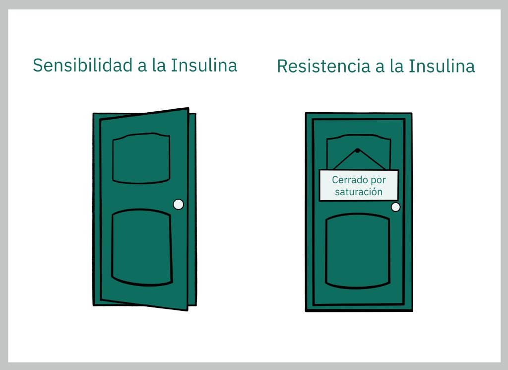 sensibilidad a la insulina, puertas abiertas dando bienvenida, resistencia a la insulina, puertas cerradas prohibiendo su acceso.