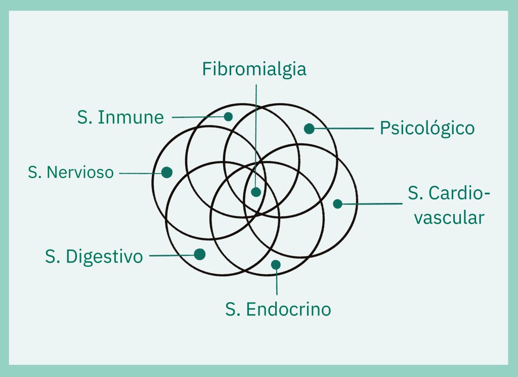Círculos que representan los principales sistemas de órganos en el cuerpo que juegan un papel en la enfermedad de la fibromialgia. Son los sistemas Inmune, nervioso, endocrino, digestivo, cardiovascular, osteomioarticular y psicológicos. Se solapan cuando están alterados y provocan fibromialiga. 