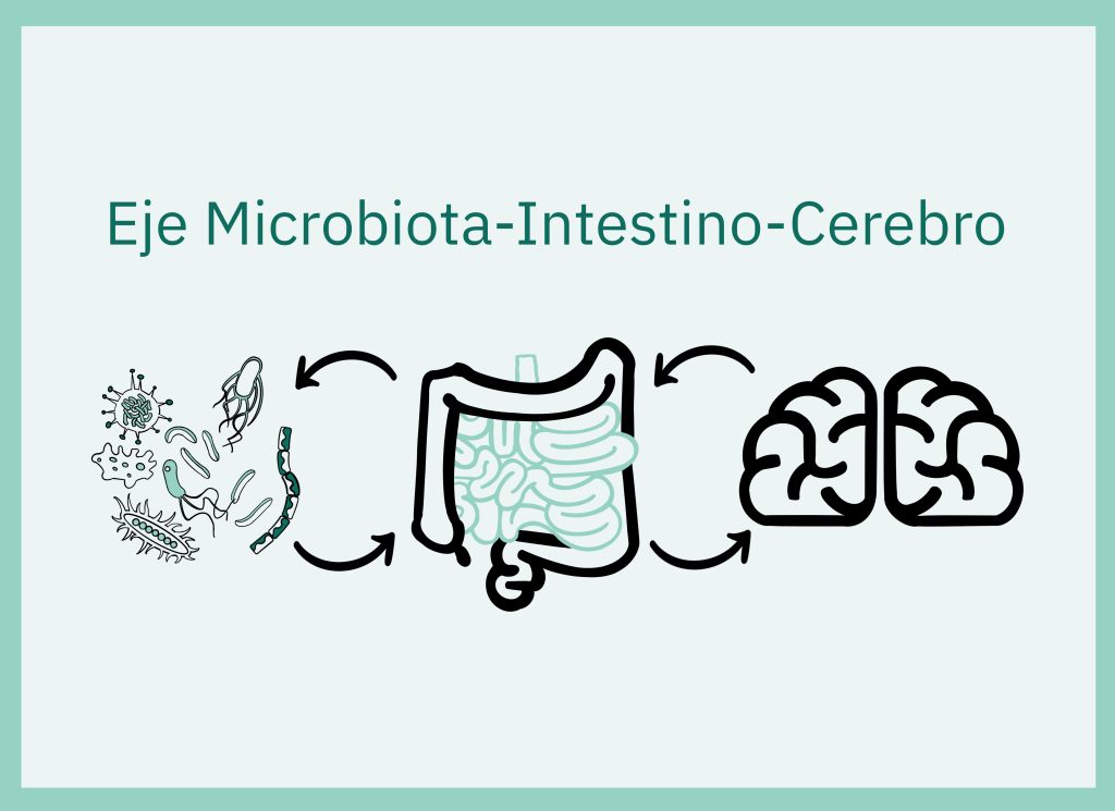 Eje microbiota – intestino – cerebro