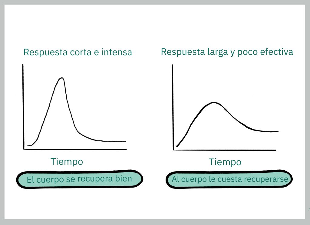 Cuando la respuesta del cuerpo ante un estímulo es corta e intensa, se desajusta mucho el cuerpo, pero en poco tiempo y se recupera rápidamente. Pero cuando no es capaz de responder ante un estímulo de manera eficaz, la respuesta se torna larga y poco efectiva, lo cual dificulta la recuperación hacia un estado de equilibrio. 